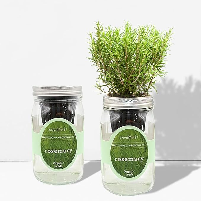 Hydroponic Herb Growing Kit, Self-Watering Mason Jar Herb Garden Starter Kit - Image 4
