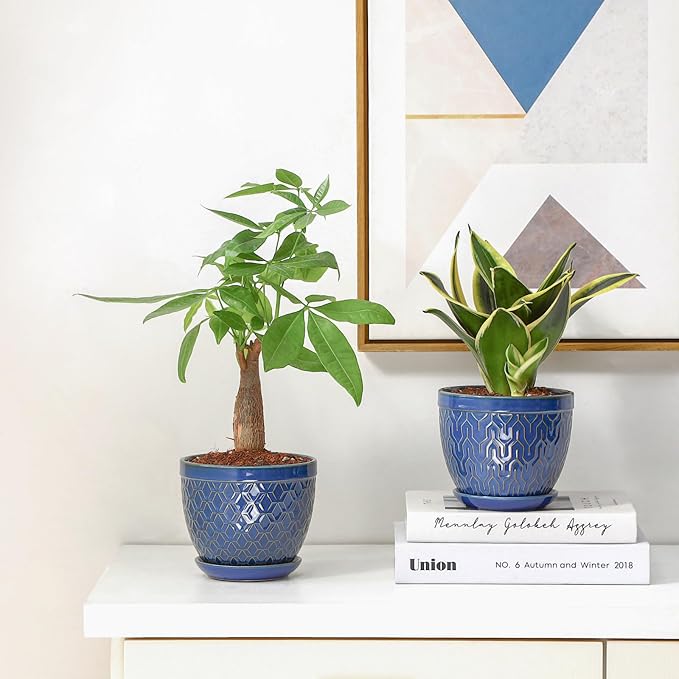 Sureasy Ceramic Indoor Plant Pots - Image 8