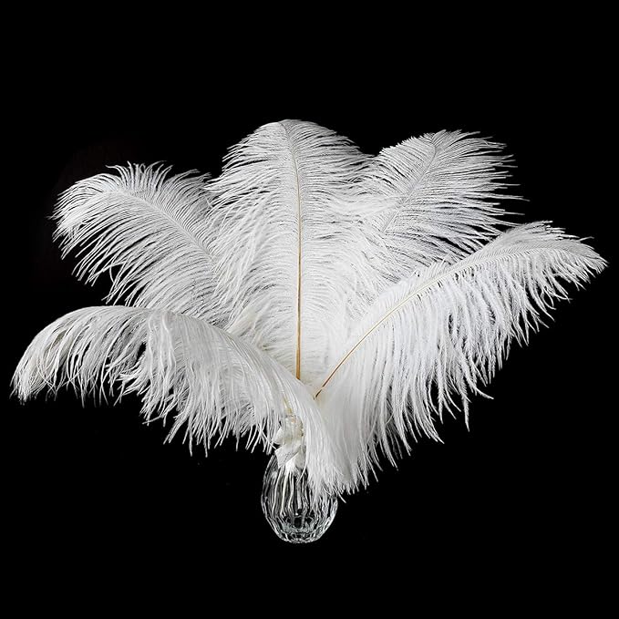 Ballinger Large White Ostrich Feathers by Ballinger