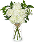 Hollyone White Hydrangea Artificial Flowers in Clear Glass Vase by Hollyone