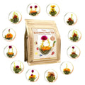 FullChea - Blooming Flowering Tea, 12 Unique Varieties - Flowering Tea in 12 by FullChea