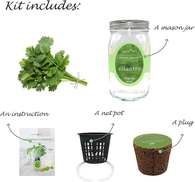 Hydroponic Herb Growing Kit, Self-Watering Mason Jar Window Herb Garden Starter - Image 2