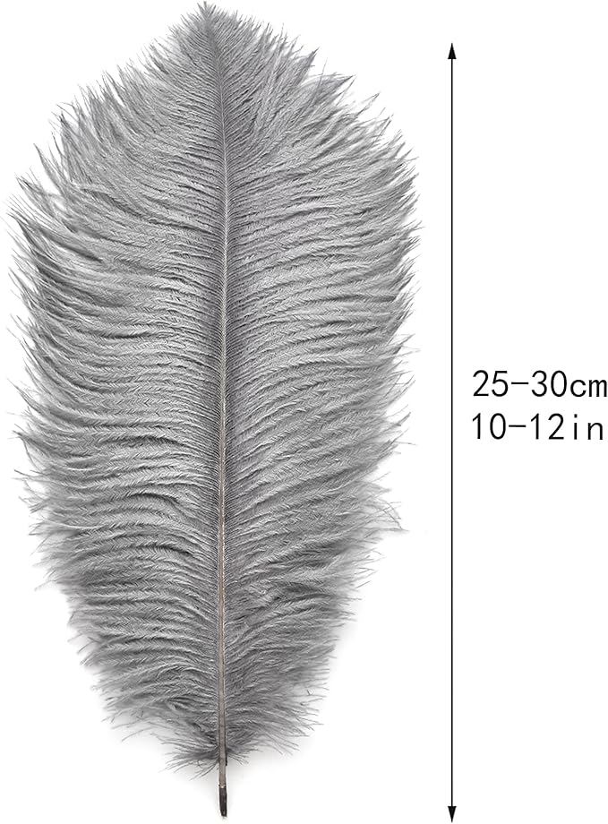 Ballinger Natural Gray Ostrich Feathers - Image 3