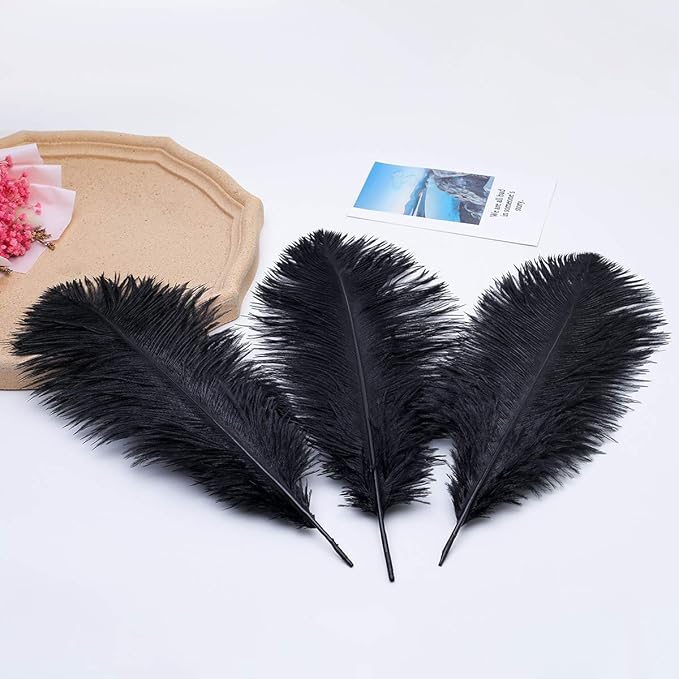 Ballinger Black Large Ostrich Feathers - Image 9