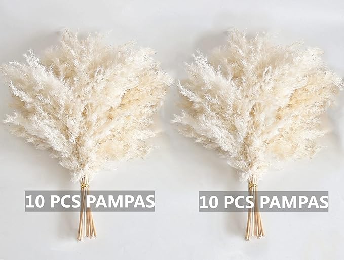 White Pampas Grass for Home Decor - Image 3