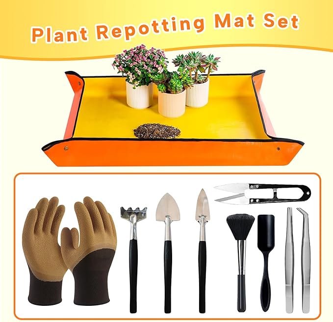 Bonsai Tools Set for Beginners, Bonsai Tree Kit - Image 3