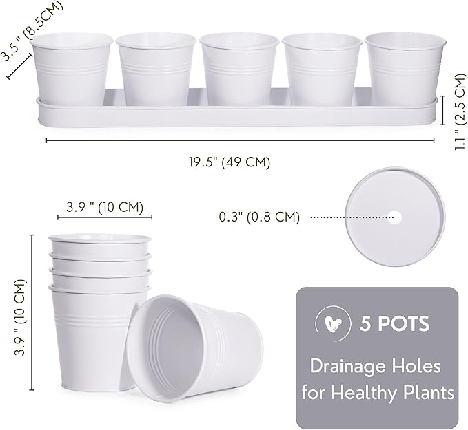 SCANDINORDICA White Herb Planter 5 Pots - Image 3