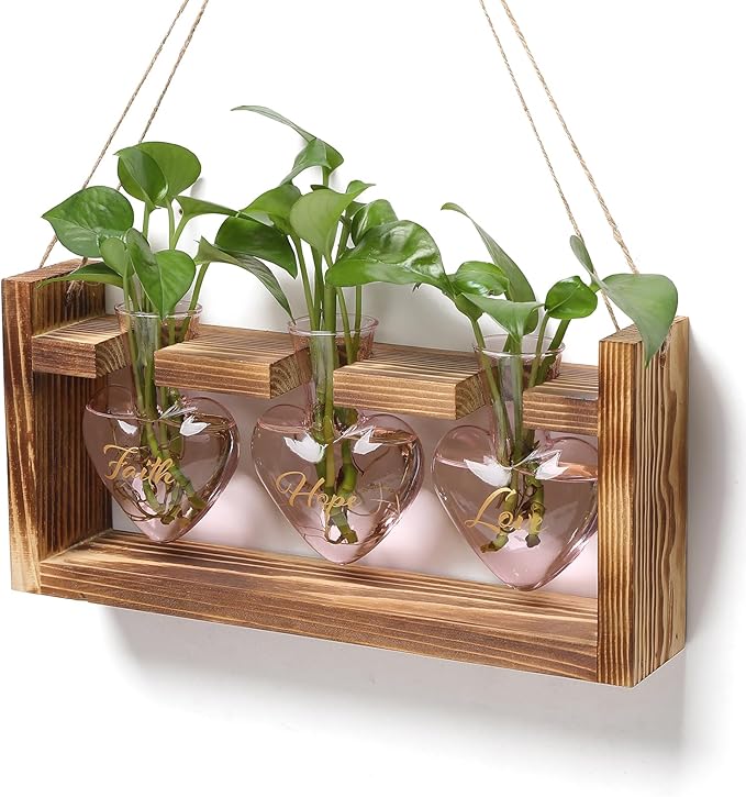 Plant Terrarium Propagation Stations Faith Hope Love Hydroponics Home Garden by Unknown