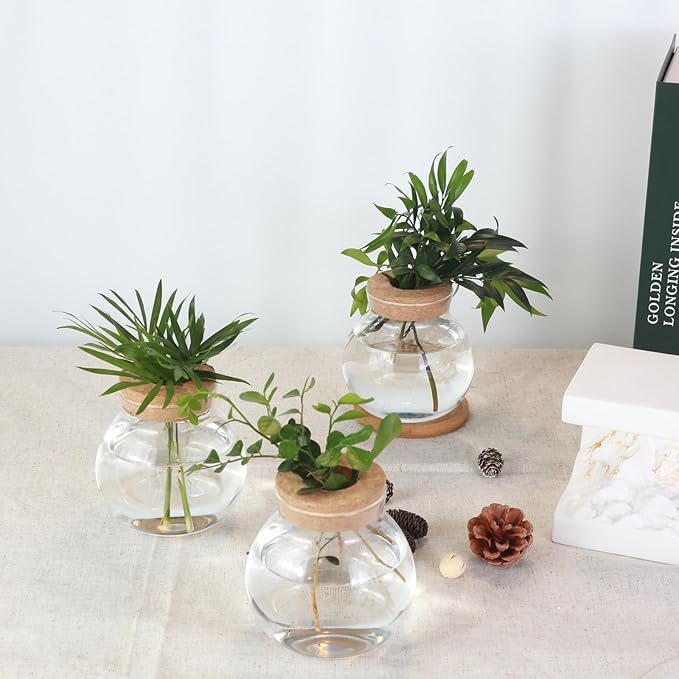 Tabletop Plant Propagation Station, Aquatic Plant Culture Glass Mini vase - Image 6