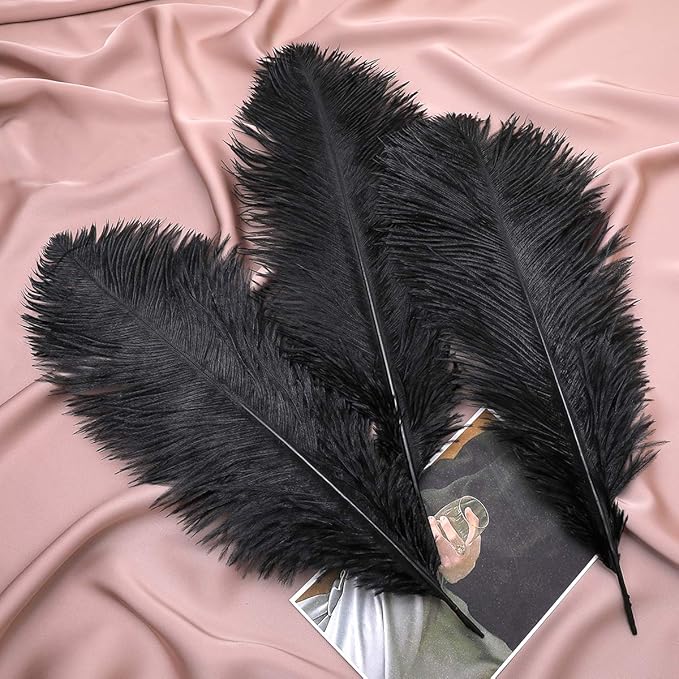 Ballinger Black Large Ostrich Feathers - Image 8