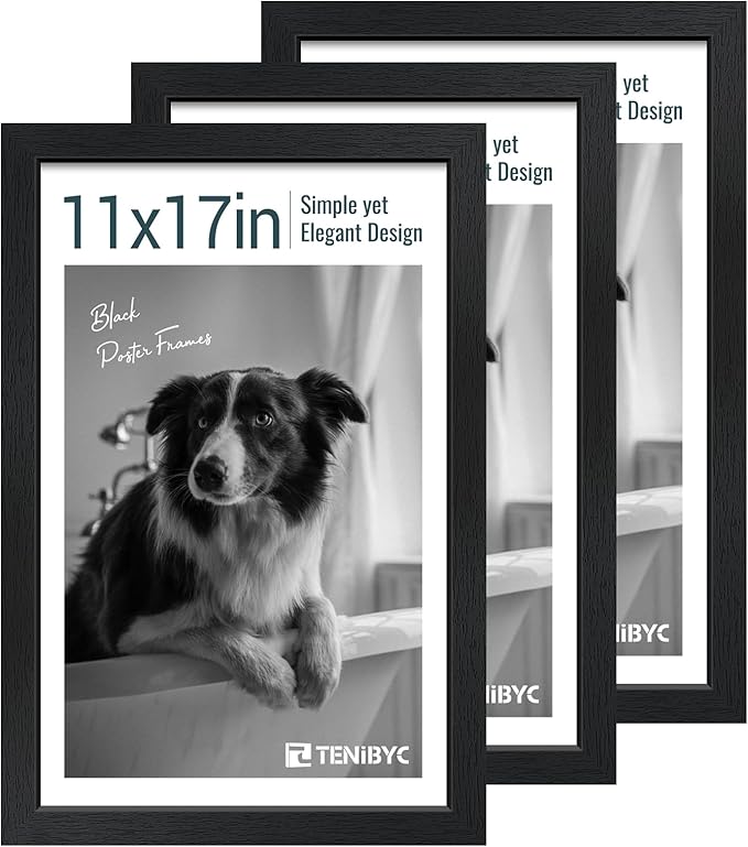 11x17 Picture Frame 3 Pack by TENiBYC
