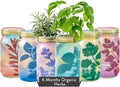 Modern Sprout New & Improved Mason Jar Grow Set 6pk, Indoor Herb Garden by ModernSprout