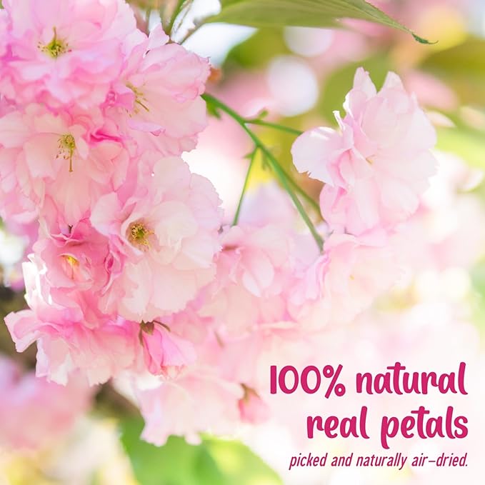 40 Pcs 2 Kinds Natural Pressed Dried Edible Flowers - Image 2