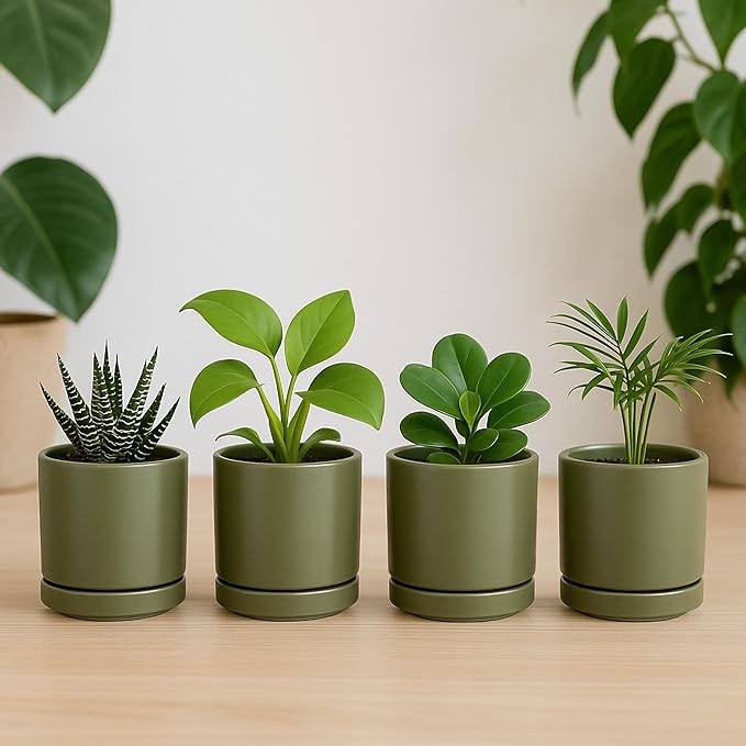 D'vine Dev Set of 4 Small Ceramic Plant Pots, 3.5 Inch Succulent Planter Pot - Image 6