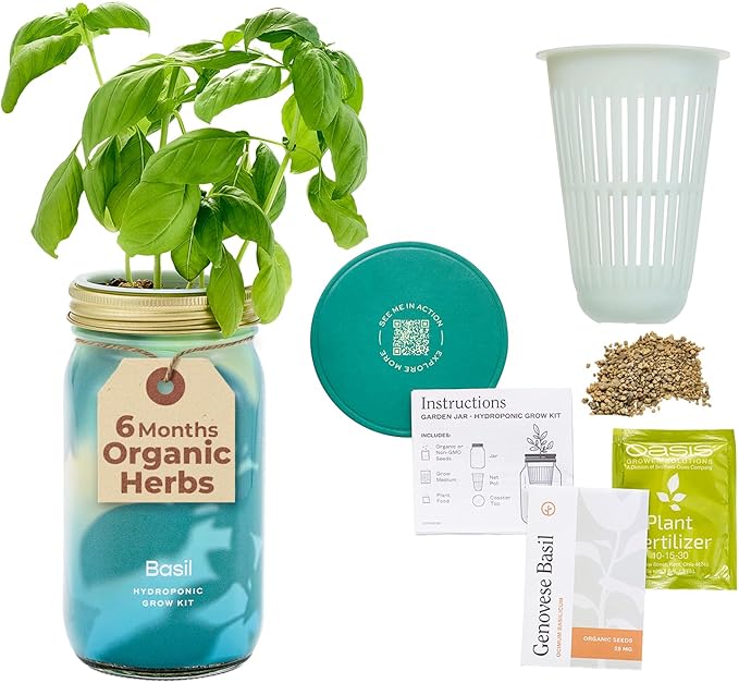 Modern Sprout Mason Garden Jar by ModernSprout