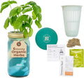 Modern Sprout Mason Garden Jar by ModernSprout