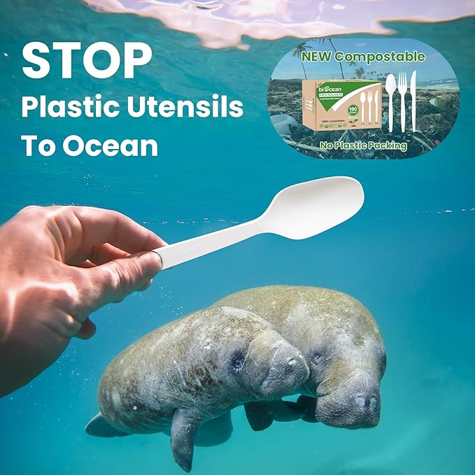 Extra Heavyduty Compostable Spoons Disposable Cutlery No Plastic Spoons Large - Image 5