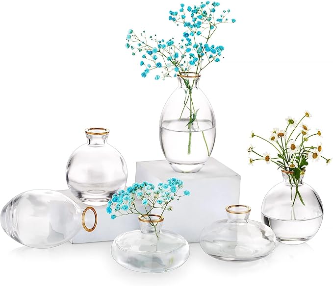 Glass Bud Vase for Centerpieces by Glasseam