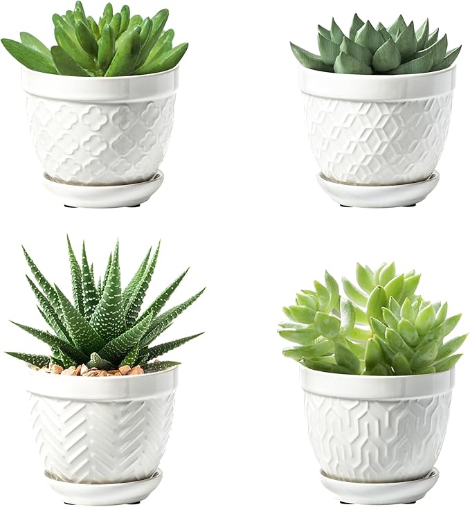 Sureasy Succulent Pots, 3.5 Inch Flower Pots by Sureasy