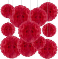 Tissue Paper Pom Poms, Hanging Flower Balls by Tisspoms