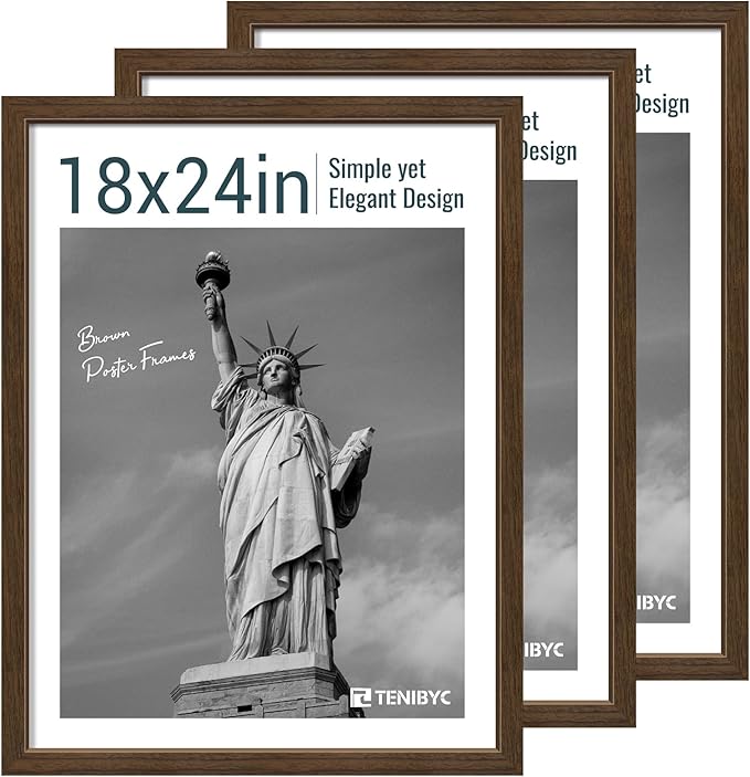 18x24 Poster Frame 3 Pack by TENiBYC