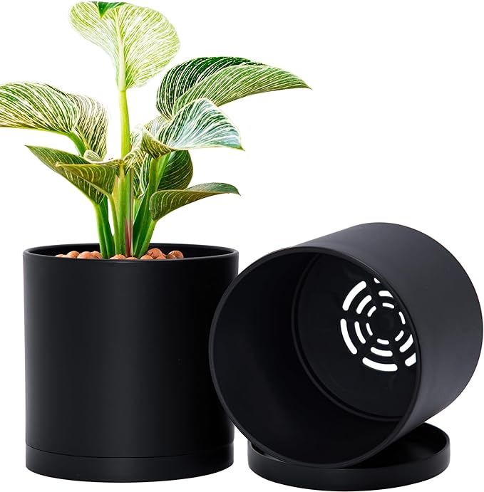 D'vine Dev 2 Pack 6 Inch Modern Plastic Plant Pots, Small Garden Planters by DvineDevPlanterPotsandStand