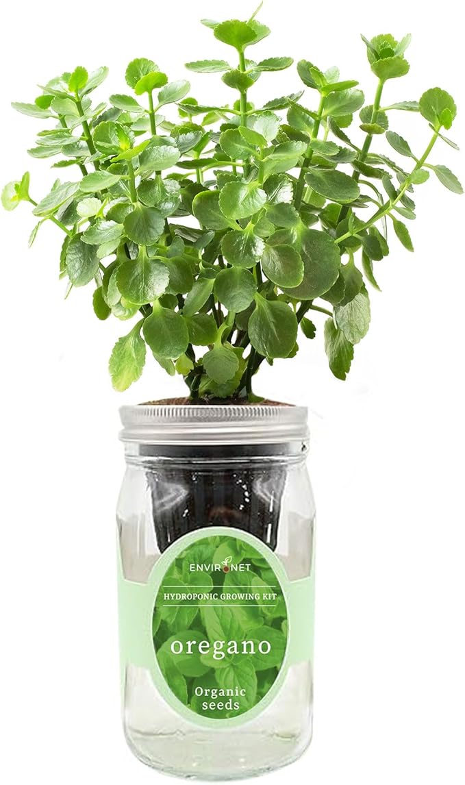 Hydroponic Herb Growing Kit, Self-Watering Mason Jar Herb Garden Starter Kit by Environet