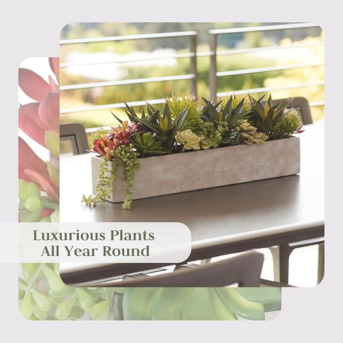 Oblong Faux Succulent Arrangement, Display on Any Surface in Your Home Adding - Image 5