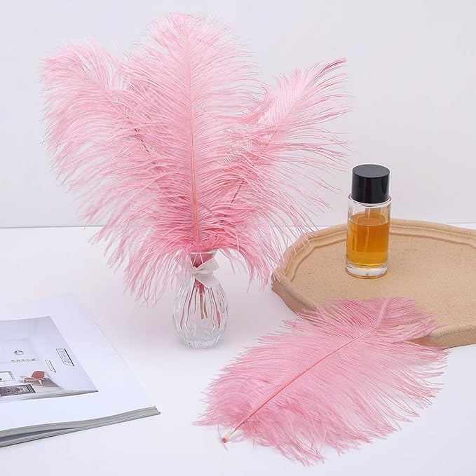 Ballinger Lotus Pink Ostrich Feathers - Image 5