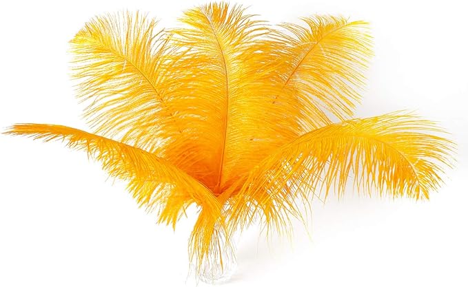 Ballinger Big Gold Ostrich Feathers by Ballinger