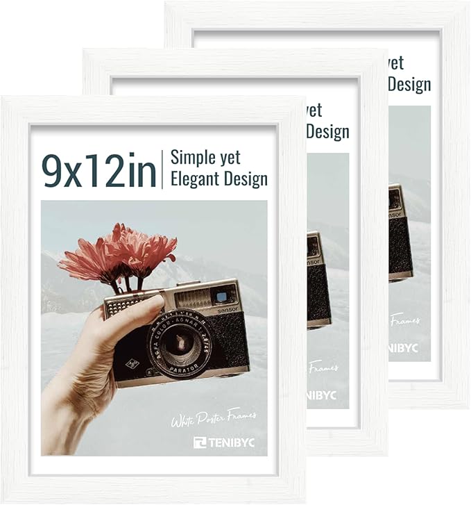 9x12 Frame 3 Pack by TENiBYC