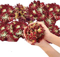 Dried Flower Carnation Biodegradable Confetti by JAPJA