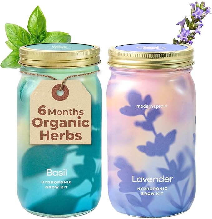 Modern Sprout New & Improved Mason Jar Grow Set, Indoor Herb Garden, Seed by ModernSprout