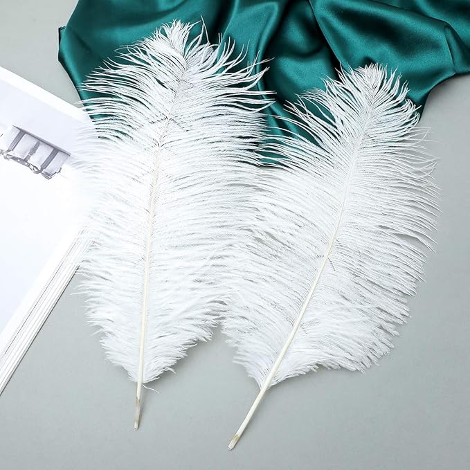 Ballinger Large White Ostrich Feathers - Image 4