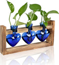Plant Terrarium Propagation Stations Hydroponics Home Garden Decoration Gift by Unknown