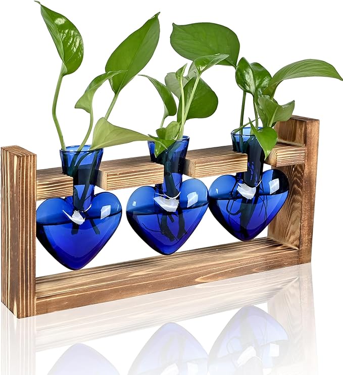 Plant Terrarium Propagation Stations Hydroponics Home Garden Decoration Gift by Unknown