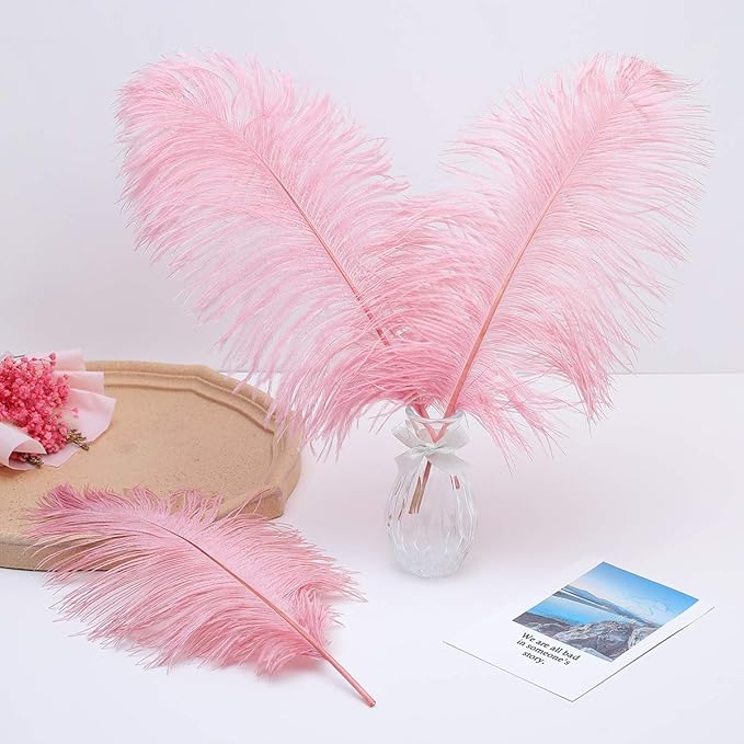 Ballinger Lotus Pink Ostrich Feathers - Image 7