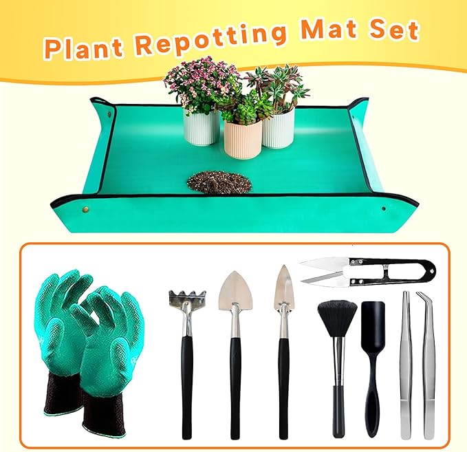 Bonsai Tools Set for Beginners, Bonsai Tree Kit - Image 5