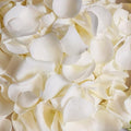 Dried Real White Rose Petals, Freeze Preserved Flower Petals 1.75oz by Koceko