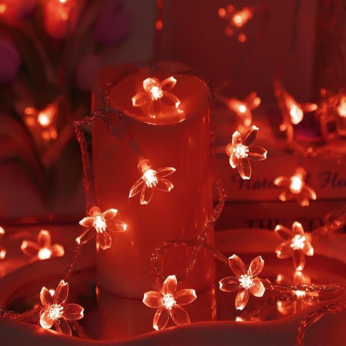 Battery Lighted & USB Plug in Fairy Flower String Lights, 10ft 30 LED Cute - Image 4