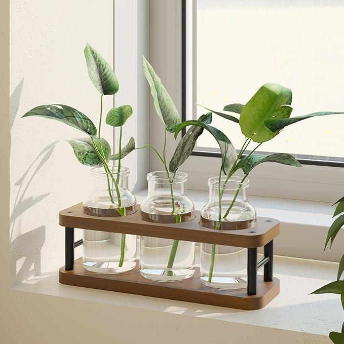 THYGIFTREE Plant Propagation Station by THYGIFTREE