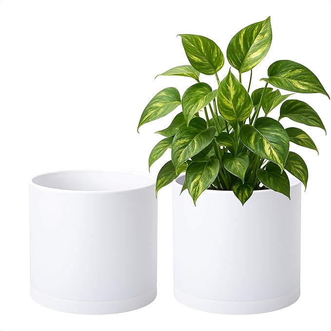 D'vine Dev 2 Pack 8 Inch Modern Plastic Plant Pots, Cylindrical Garden Planters by DvineDevPlanterPotsandStand