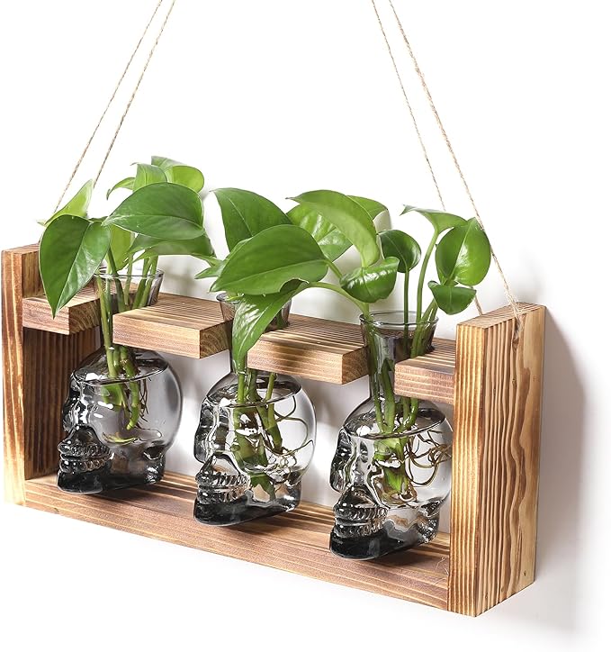 Plant Terrarium Propagation Stations Hydroponics Halloween Skull Planter Vase by Unknown
