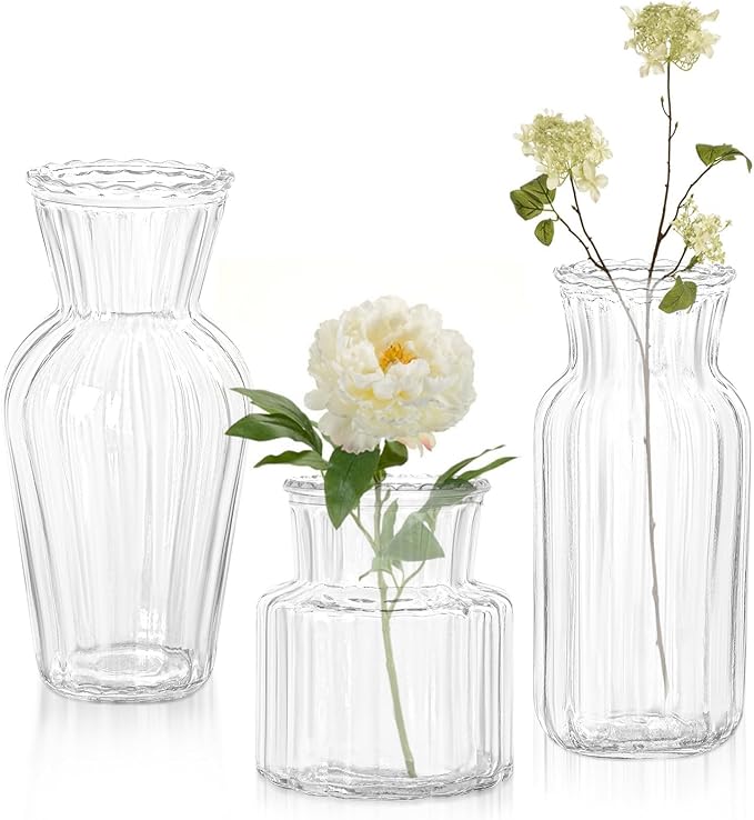 Modern Clear Glass Vase Set by SUJUN