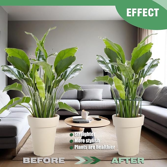 12 Pack Tall Snake Plant Support Stakes, Plant Cage Ring Support - Image 6