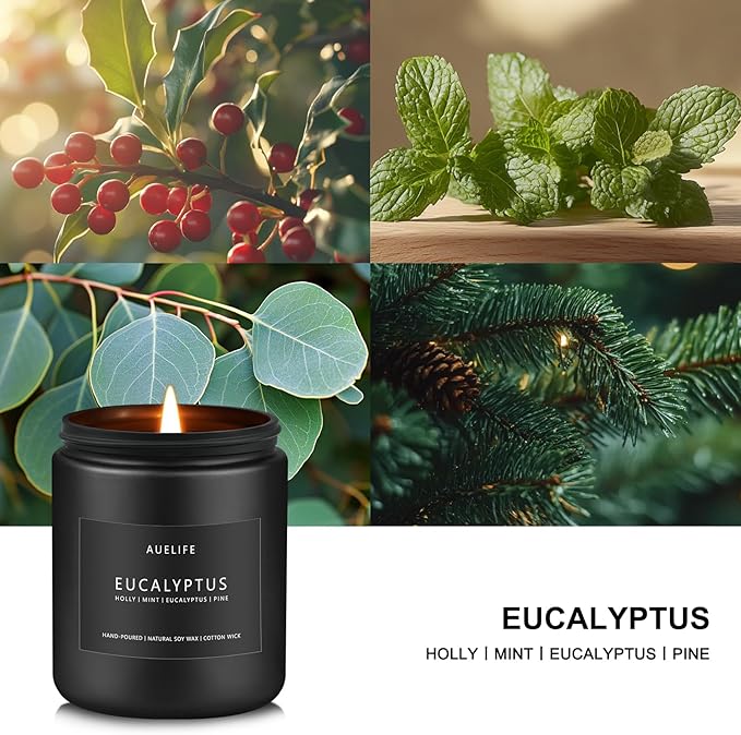 Eucalyptus Candle | Eucalyptus Scented Candles, Eucalyptu Leaf Fragrance - Image 2