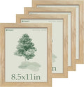 8.5x11 Picture Frame Set by TENiBYC