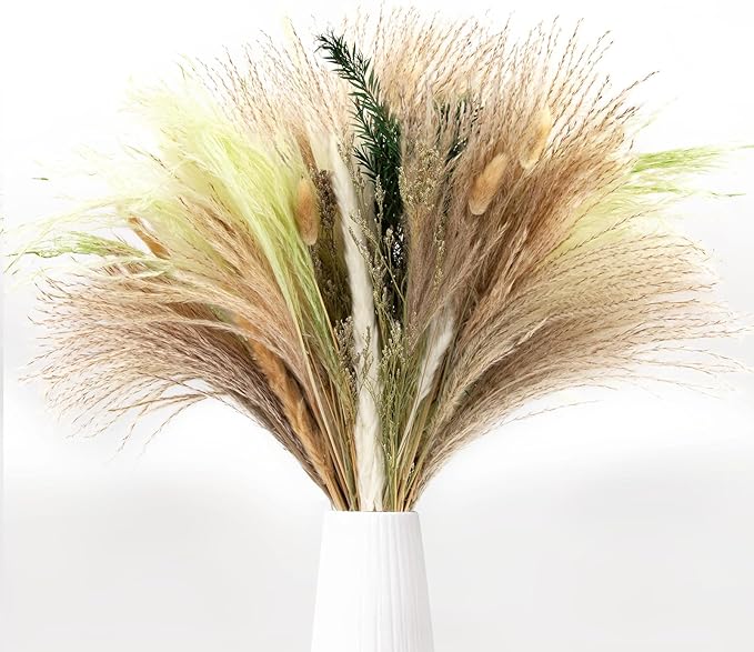 N&T NIETING 85 Pcs Green Dried Pampas Grass-White Pompas Grass, Reed Grass by NTNIETING