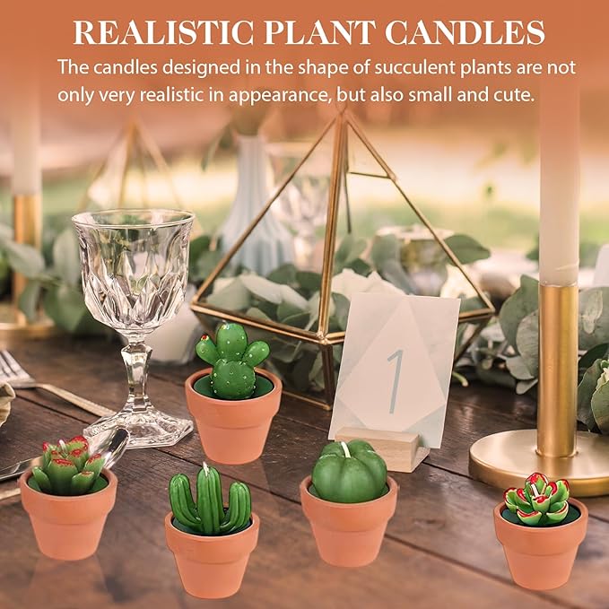 AZEAM 24 Pcs Succulent Candles Party Favors, Bulk Cactus Table Decor - Image 6