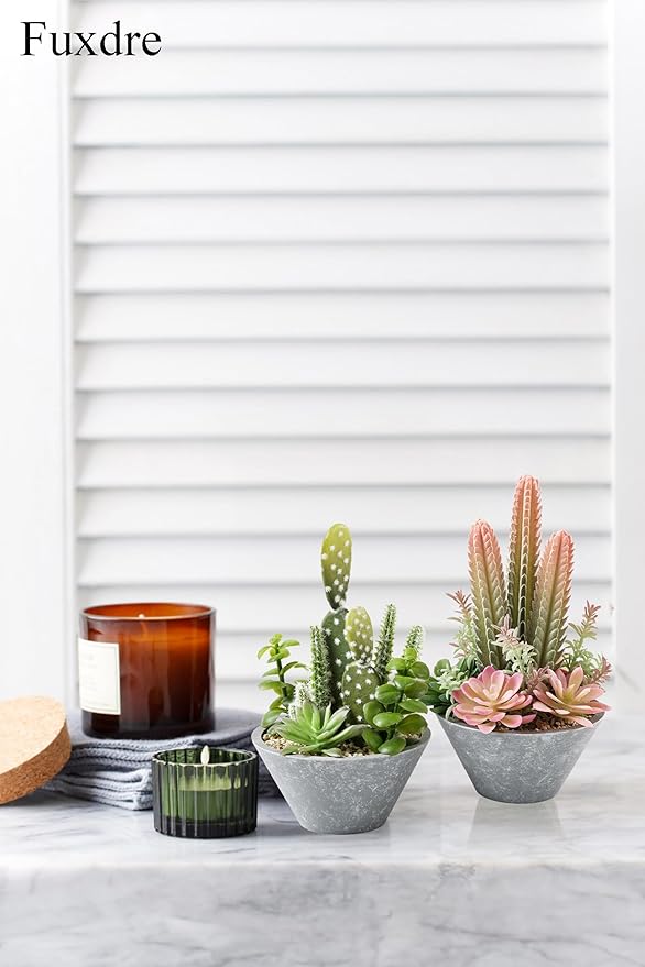 2-Pack Artificial Succulent Plants in Vintage Plastic Pots - Image 6